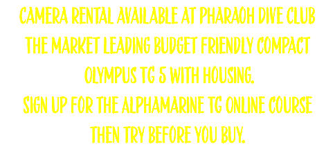 Camera rental available at Pharaoh Dive Club The market leading budget friendly compact Olympus TG 5 with housing. Sign up for the Alphamarine TG Online course then try before you buy. 