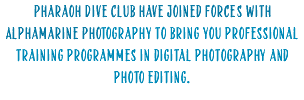 Pharaoh Dive Club have joined forces with Alphamarine Photography to bring you professional training programmes in digital photography and photo editing.