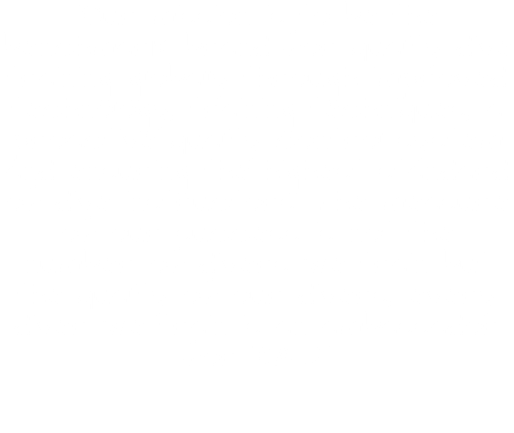 'Our mission is to be the benchmark brand for quality dive training globally through improved technology, training techniques, a proactive quality control system and ensuring the highest standard of dive instructors. The measure of our success is not the number of divers we train but the quality of our divers, every diver we train is an ambassador for RAID.'